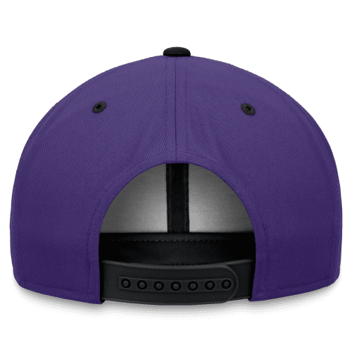 rays unisex purple nike devil rays pro coop adjustable snapback hat the bay republic or team store of the tampa bay rays and rowdies 3