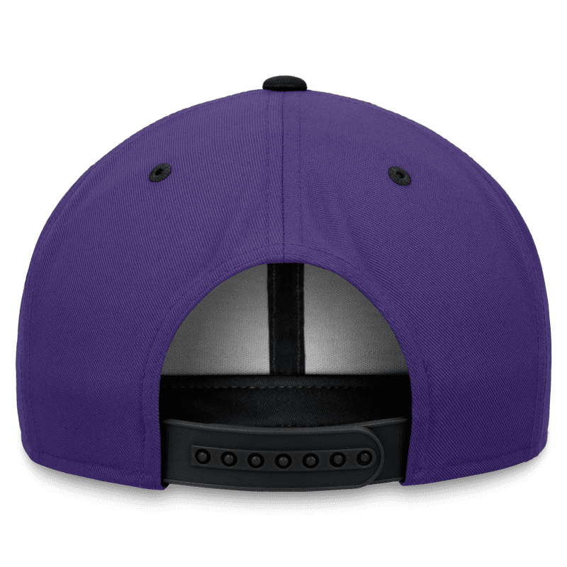 rays unisex purple nike devil rays pro coop adjustable snapback hat the bay republic or team store of the tampa bay rays and rowdies 3